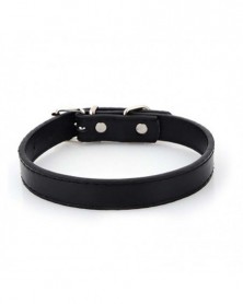 2.5x52cm-Black-Dog Collars...