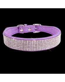 XXS size-Purple-Hot Bling...