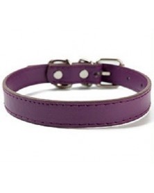 XL size-Purple-Pet Dog...