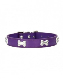 M size-Purple-Pet Dog...