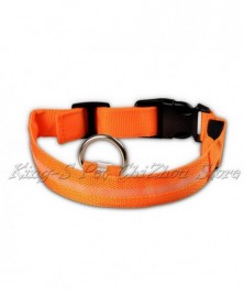 XL size-orange-2.5cm Wide...