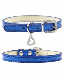 S size-C-blue-Dog Neck...