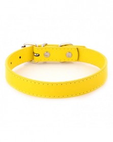 2.0x45cm-Yellow-Dog Collars...