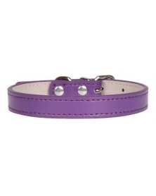 XS-1.5-Purple-Pet Dog...