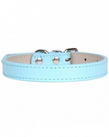 S size-Light Blue-Hot!Pet...