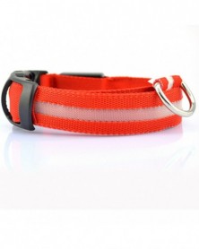 XL size-red-2.5cm Wide...