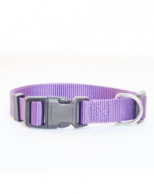 L size-purple-Solid Color...