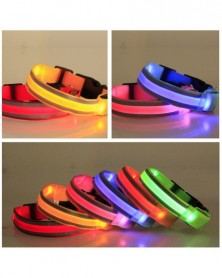 Battery XL-Colorful-LED Pet...