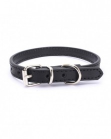 51x2.5CM-black-Pet Supplies...