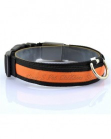 XL size-orange-Nylon LED...