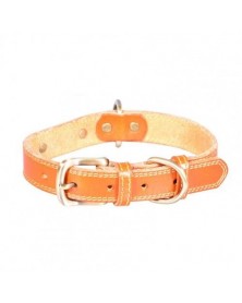 2XL size-Orange-Pet Collar...