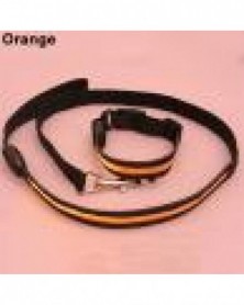 XL size-Orange-Safe LED...