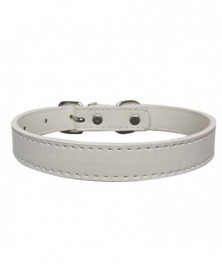 1.5x37cm-White-Dog Collars...