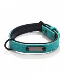 2XL size-Green-Dog Collar...