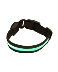 XL size-Green-Fashion LED...