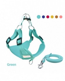 XS(2-4kg dog)-Green-New...