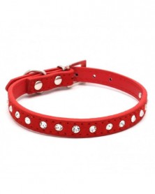 M size-Red-Small Dog Collar...