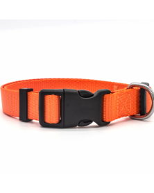 L size-orange-Dog Collar...