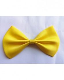 2Pcs-Yellow-Pet Dog Cat...