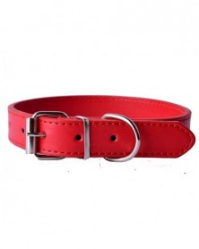 Width 20mm-Red-11Colors Pu...