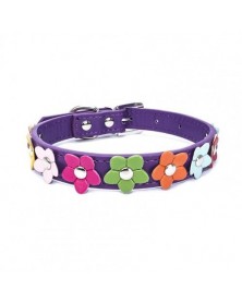 M size-Purple-Pet Collar...