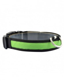 XL size-G-Led Dog Collar...