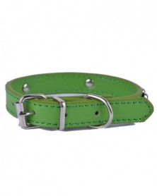 Width 20mm-Green-11Colors...