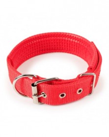 XL 3.0cmX58cm-Red-Pet Nylon...