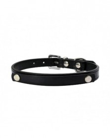 L size-black 2-DIY Name Dog...