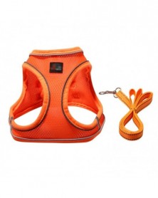 XL size-O - Pet Dog Leash...