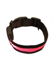 L size-Red-Fashion LED Dog...