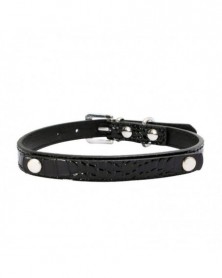 L size-black 1-DIY Name Dog...