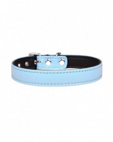 2XS size-Light Blue-Pet Dog...