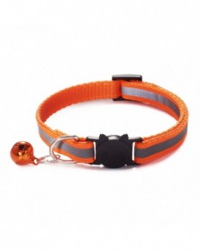 Orange-Pet Collar...