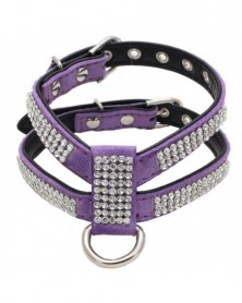 M size-Purple-Pet Necklace...