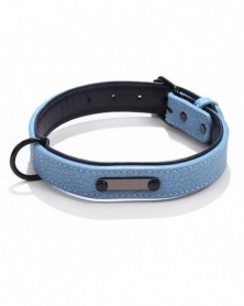 L size-Blue-Dog Collar...