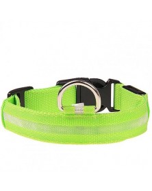 L size-Green-Nylon LED Dog...