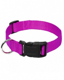 XL size-Purple-Bright Dog...