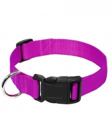 2.5cm-Purple-Pet Dog Collar...