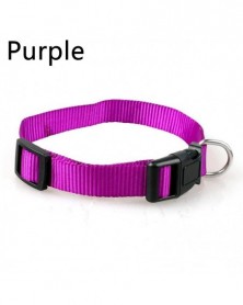 XL size-Purple-Pet Dog...