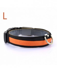 Orange L-Nylon Dog Collars...