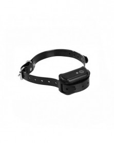 UK Plug-dog collar -...