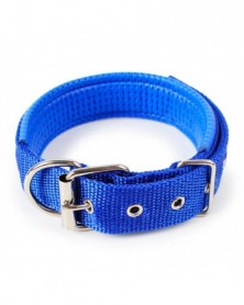 2.5x52cm-Blue-Pet Collars...