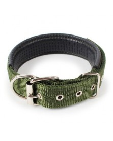 L size-Green-Dog Collar...