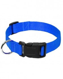 2.5cm-Blue-Pet Dog Collar...