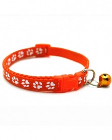 Orange-Pet Collar...