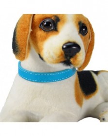 1.0x30-Lake blue-Dog Collar...