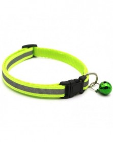 Fluorescent green-Pet...