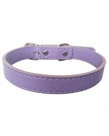 1.2x33cm-Violet-Dog Collars...