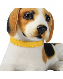 1.0x30-Gold-Dog Collar...